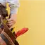 Handyman repair service in St Paul, MN for home fixes and improvements